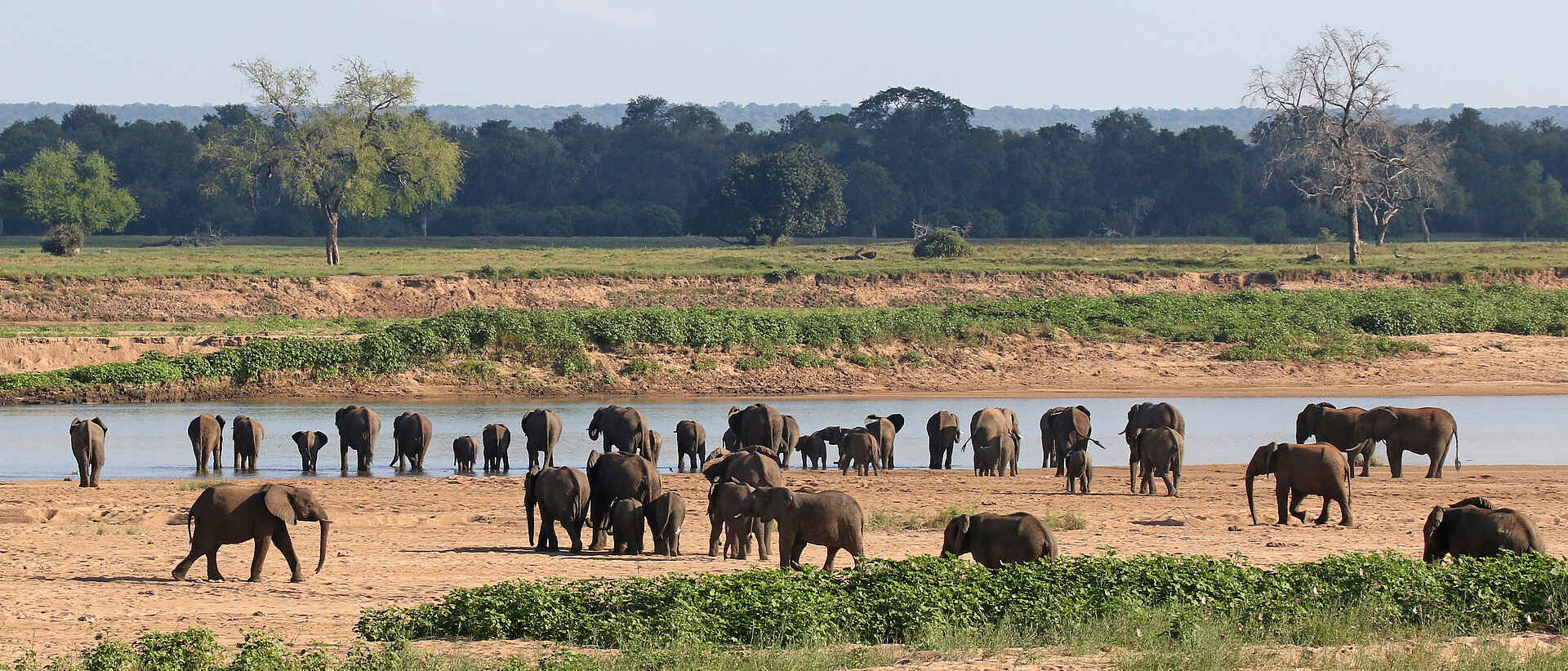 Chilo Mahove Tented Camp: Elefanten am Runde River Chilo Mahove Tented Camp: Elefanten am Runde River