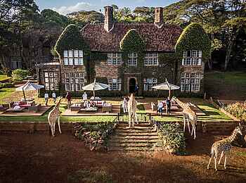 Giraffe Manor: Afternoon Tea mit Giraffen Giraffe Manor: Afternoon Tea mit Giraffen