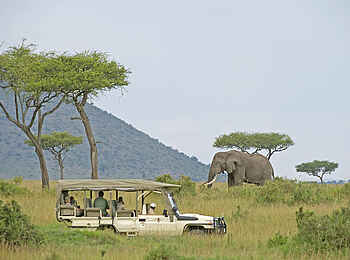 Sanctuary Olonana: Elefantenbulle Sanctuary Olonana: Elefantenbulle