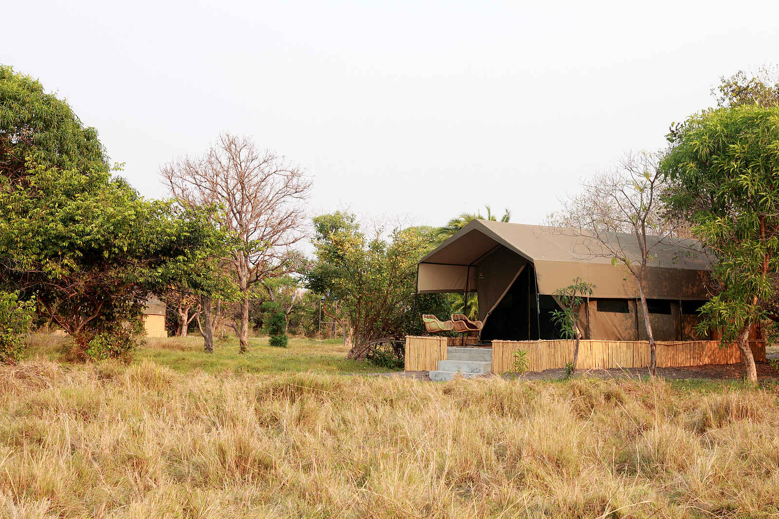 Shoebill Island Camp: Gästezelt auf gemauerter Plattform Shoebill Island Camp: Gästezelt auf gemauerter Plattform