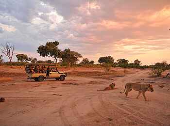 Somalisa Camp: Game drive Somalisa Camp: Game drive