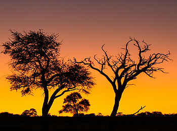 Jozibanini Camp: Abendstimmung im Hwange National Park Jozibanini Camp: Abendstimmung im Hwange National Park