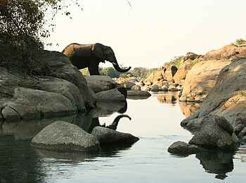 KaingU Safari Lodge: Elefant im Spiegel