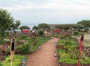 Lake Manyara Kilimamoja Lodge: Boma Dinner
