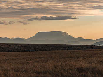 Lewa Safari Camp: Sonnenaufgang am Mt. Ololokwe