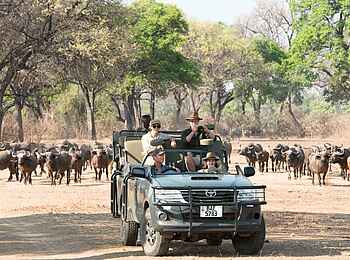 Mwamba Bush Camp: Game Drive Mwamba Bush Camp: Game Drive