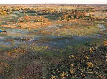 Nxabega Under Canvas Camp: Helicopterflug