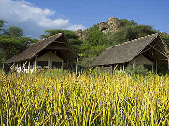 Olduvai Camp: Gästechalets in grüner Vegetation
