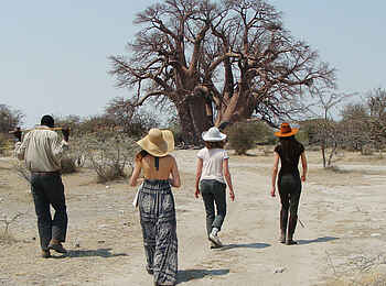 San Camp: Chapman's Baobab