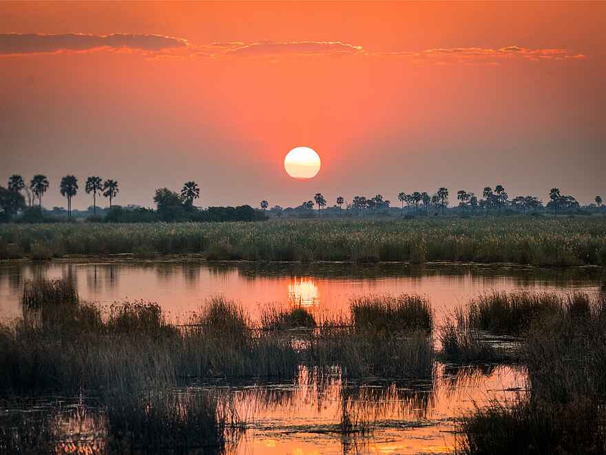 Zarafa Camp: Blick auf den Sonnenuntergang Zarafa Camp: Blick auf den Sonnenuntergang