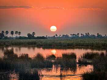 Zarafa Camp: Blick auf den Sonnenuntergang Zarafa Camp: Blick auf den Sonnenuntergang