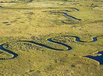 Duba Plains Camp: Flussschleifen