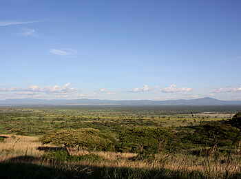 Kasenyi Safari Camp: Savanne im Queen Elizabeth National Park