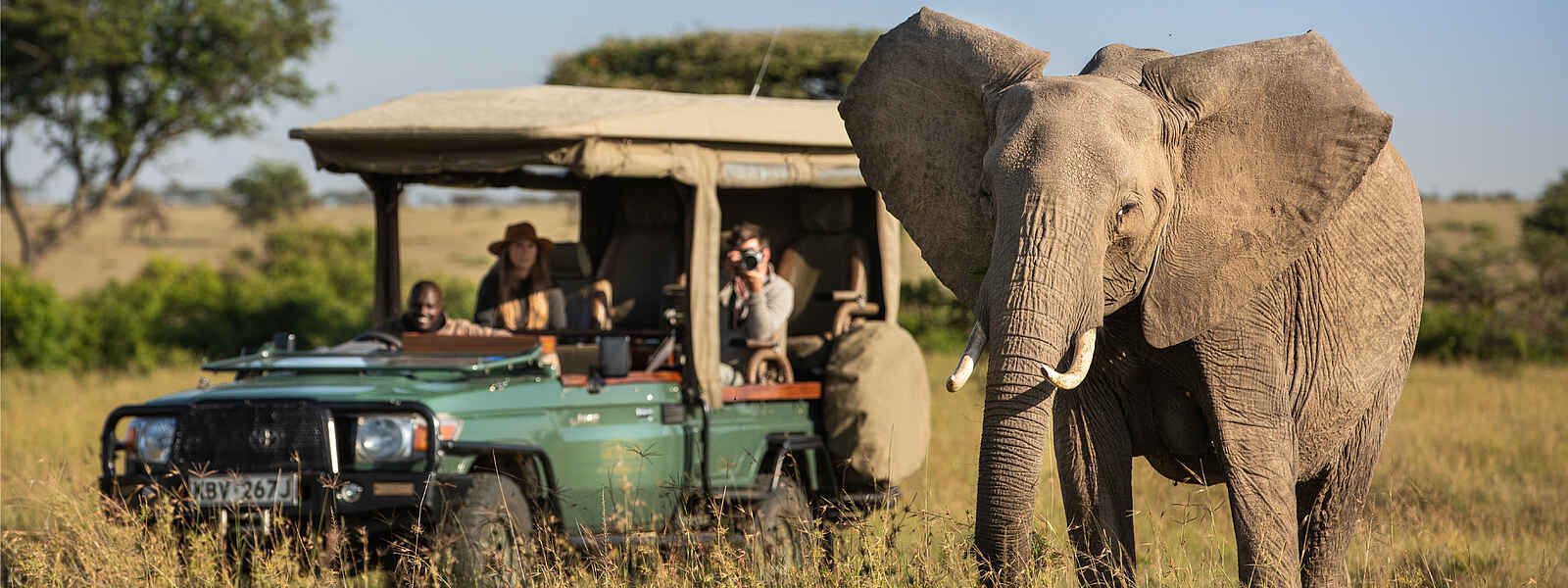 Mara Plains Camp: Elefantenbegegnung Mara Plains Camp: Elefantenbegegnung