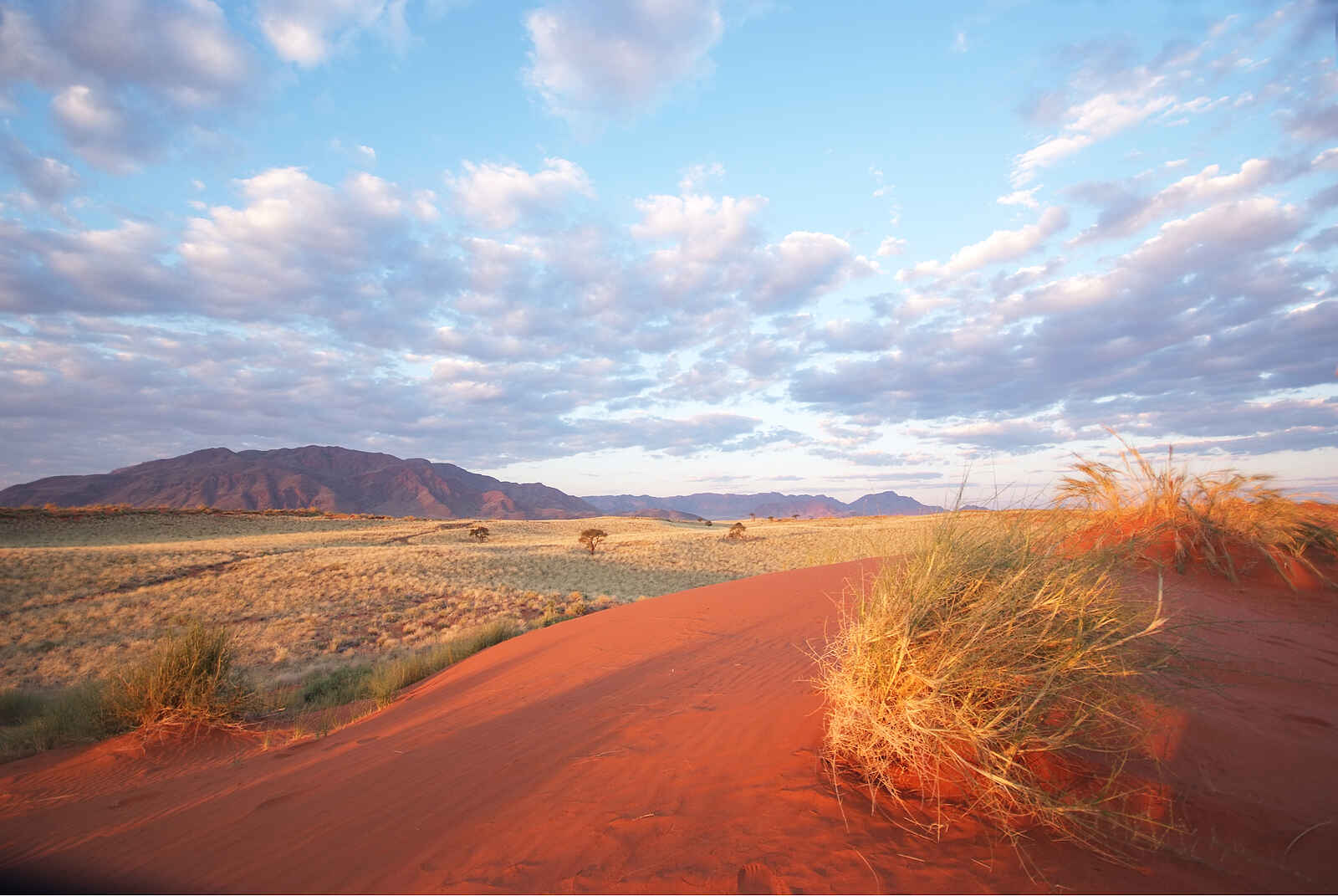 Namib Rand Nature Reserve: Kleine Düne Namib Rand Nature Reserve: Kleine Düne