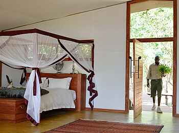 Potato Bush Camp: Zimmerservice Potato Bush Camp: Zimmerservice