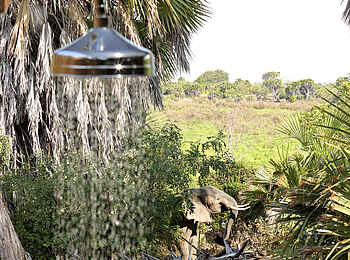Roho ya Selous Camp: Outdoor Dusche mit Besuch Roho ya Selous Camp: Outdoor Dusche mit Besuch