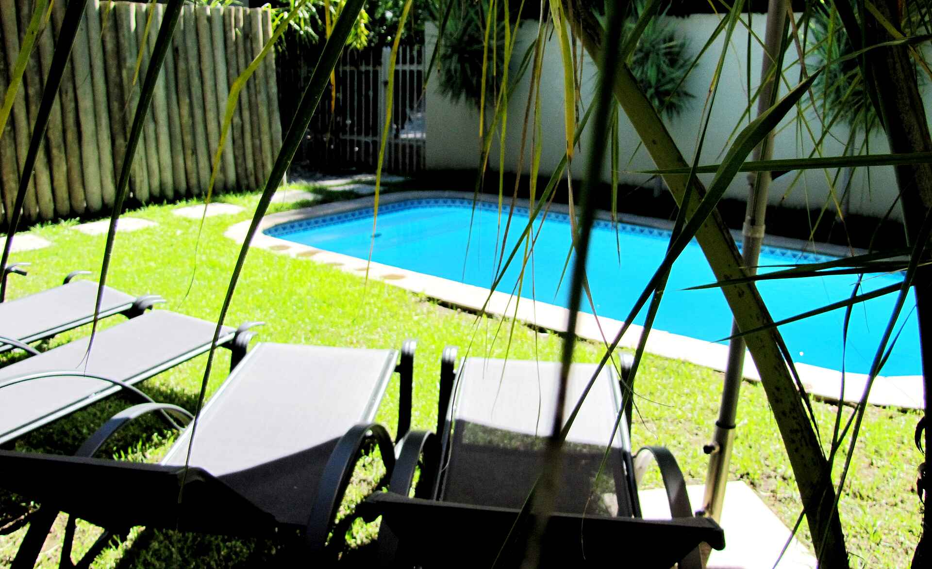 B&B, Pension, The Elegant Guesthouse, Windhoek, Swimming Pool, Afrikarma, Afrikarma Safaris, Afrikarma.de