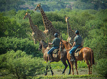 Tuli Safari Lodge Mashatu: Mit dem Pferd unterwegs