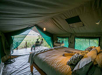 Bushman Plains Camp: Blick aus einem Zelt Bushman Plains Camp: Blick aus einem Zelt