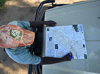 Chilo Ivory Trail Adventure: Studium der Landkarte