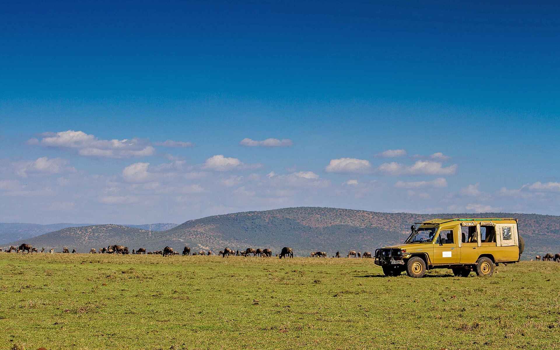 Afrikarma, Afrikarma. Wildnis. Hautnah, Camp, Game Drive, Kenia, Kenya, Lodge, Maasai, Masai Mara, Ol Seki, Pirschfahrt, www.afrikarma.de, Zeltcamp