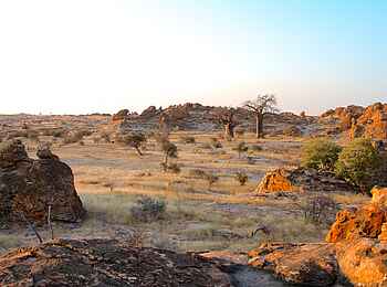 Tuli Safari Lodge Mashatu: Landschaft im Tuli-Block