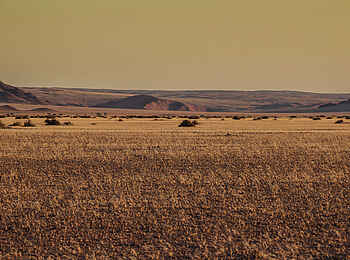 Desert Homestead Outpost: Endlose Wüstenlandschaft