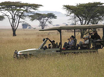 Dunia Camp: Game Drive
