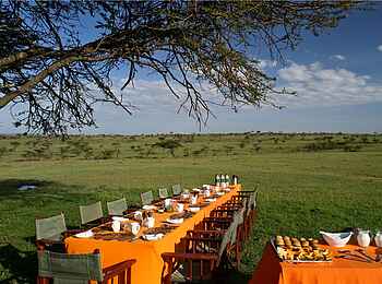 Elephant Pepper Camp: Buschfrühstück an der großen Tafel Elephant Pepper Camp: Buschfrühstück an der großen Tafel