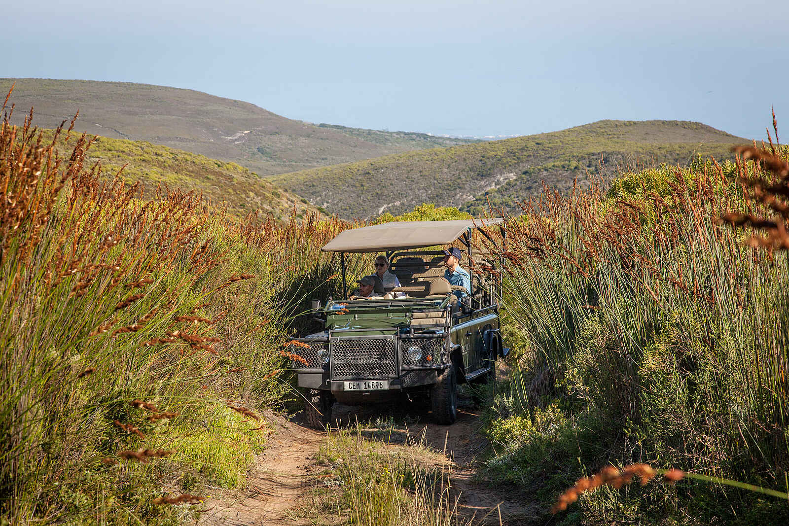 Grootbos Garden Lodge: Pirschfahrt Grootbos Garden Lodge: Pirschfahrt