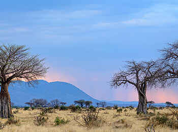 Jabali Ridge Camp: Ein traumhafter Ausblick über das Tal des Mwagusi Sand Rivers Jabali Ridge Camp: Ein traumhafter Ausblick über das Tal des Mwagusi Sand Rivers
