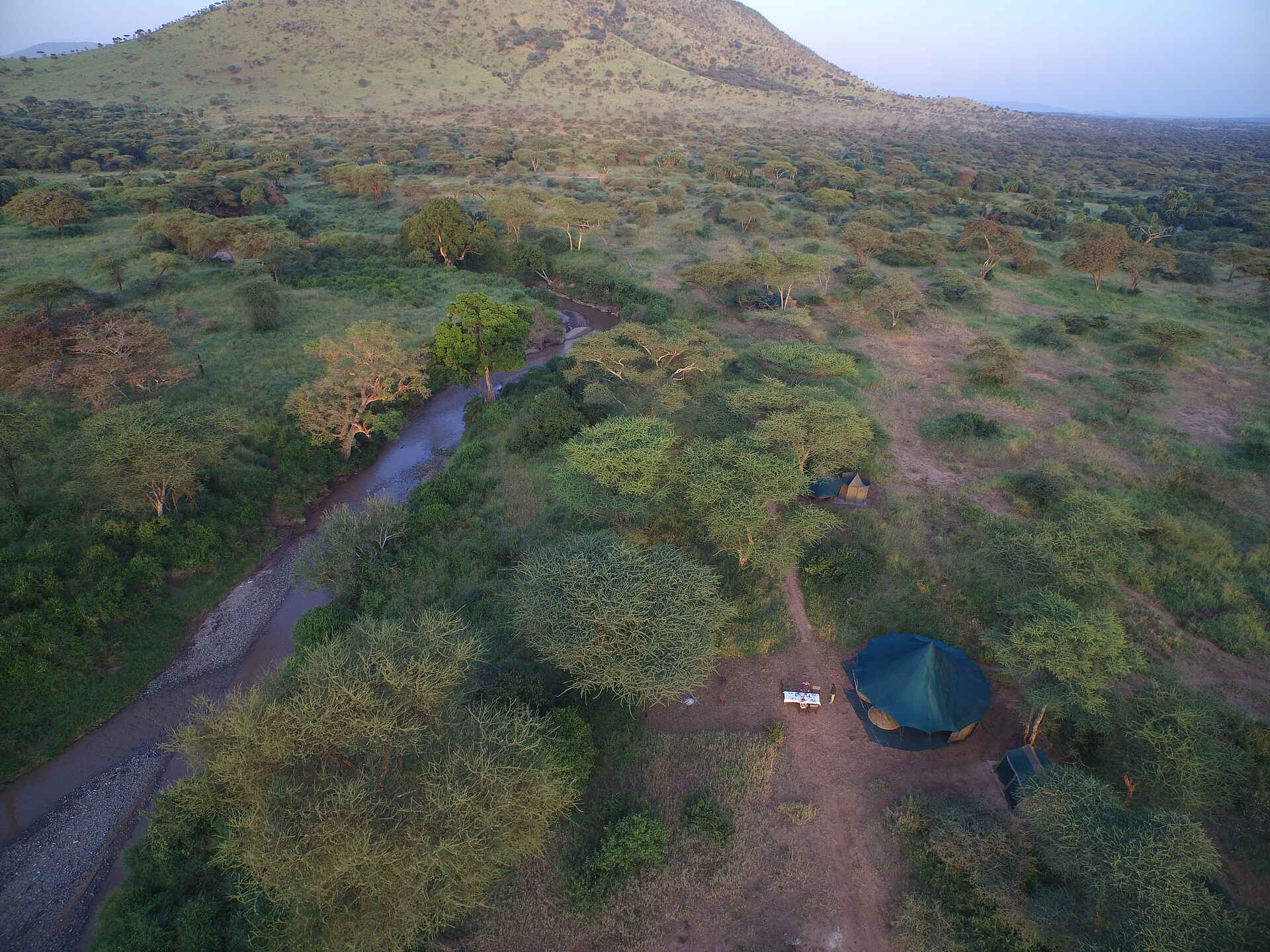 Wayo Banagi Green Camp: Elefant Serengeti, Serengeti National Park, Serengeti NP, Wayo Africa, Wayo Banagi Green Camp, Wayo Green Camp, Messezelt, Vogelperspektive, Afrikarma, Afrikarma - Wildnis. Hautnah., Afrikarma GmbH, Afrikarma Safaris