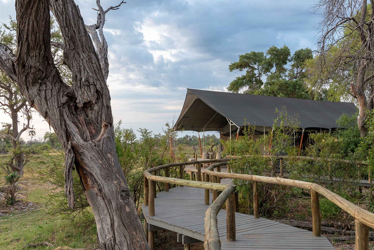 Gomoti Private Camp: Weg Afrikarma, Afrikarma Safaris, Afrikarma Safaris. Wildnis. Hautnah., Afrikarma.de, Camp, Gomoti Private, Gomoti Private Camp