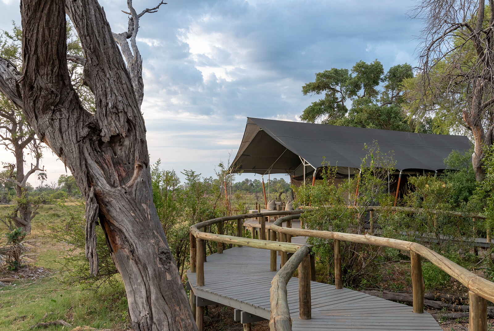 Gomoti Private Camp: Weg Gomoti Private Camp: Weg