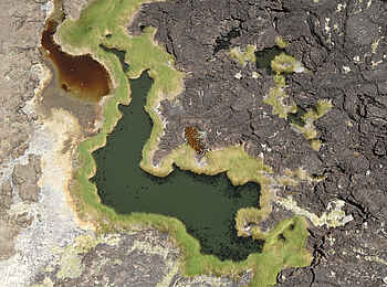 Koros Camp: Abwechslungsreiche Landschaft