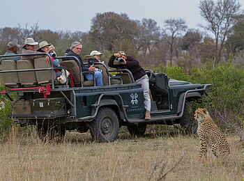 Londolozi Private Granite Suites: Gepard hautnah