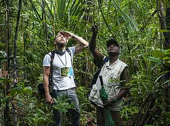Masoala Forest Lodge: Guide und Gast Masoala Forest Lodge: Guide und Gast