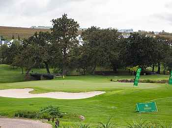 De Zalze Golf Club: Golf Course 01