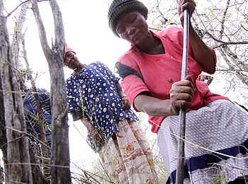 Edo's Camp: Eigener Biogarten Edo's Camp: Eigener Biogarten