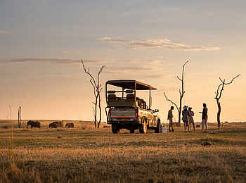 Fothergill Island Luxury Camp: Pirschfahrt