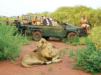 Impodimo Game Lodge: Löwen Impodimo Game Lodge: Löwen