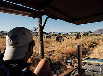 Jabali Ridge Camp: Begegnung mit Elefanten
