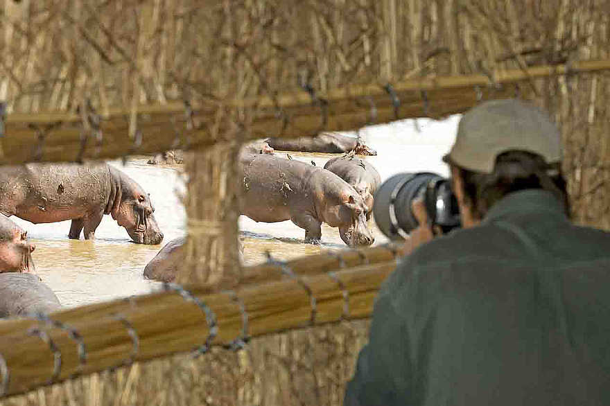 Kaingo Hippo Hide: Mittag am Unterstand Kaingo Hippo Hide: Mittag am Unterstand