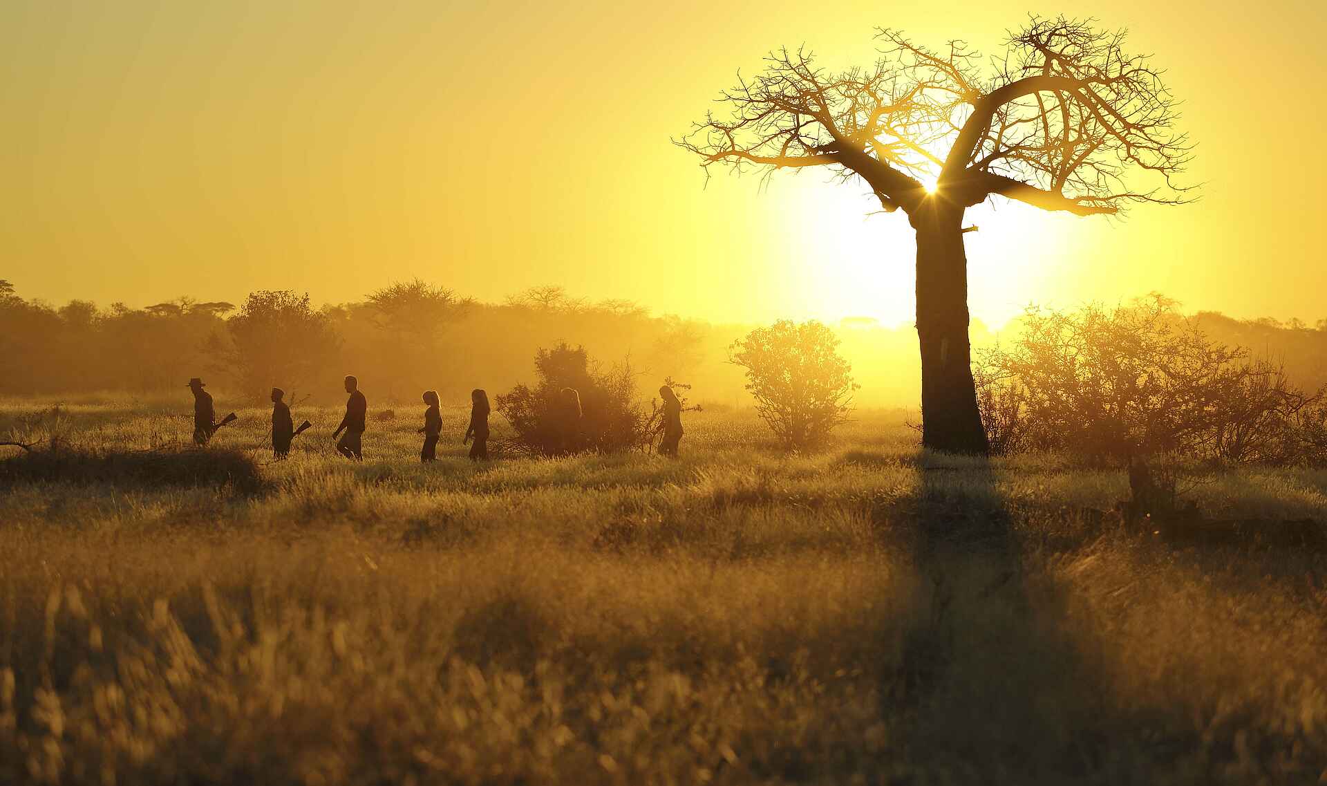 Kichaka Expeditions: Buschwanderung