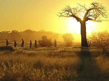 Kichaka Expeditions: Buschwanderung