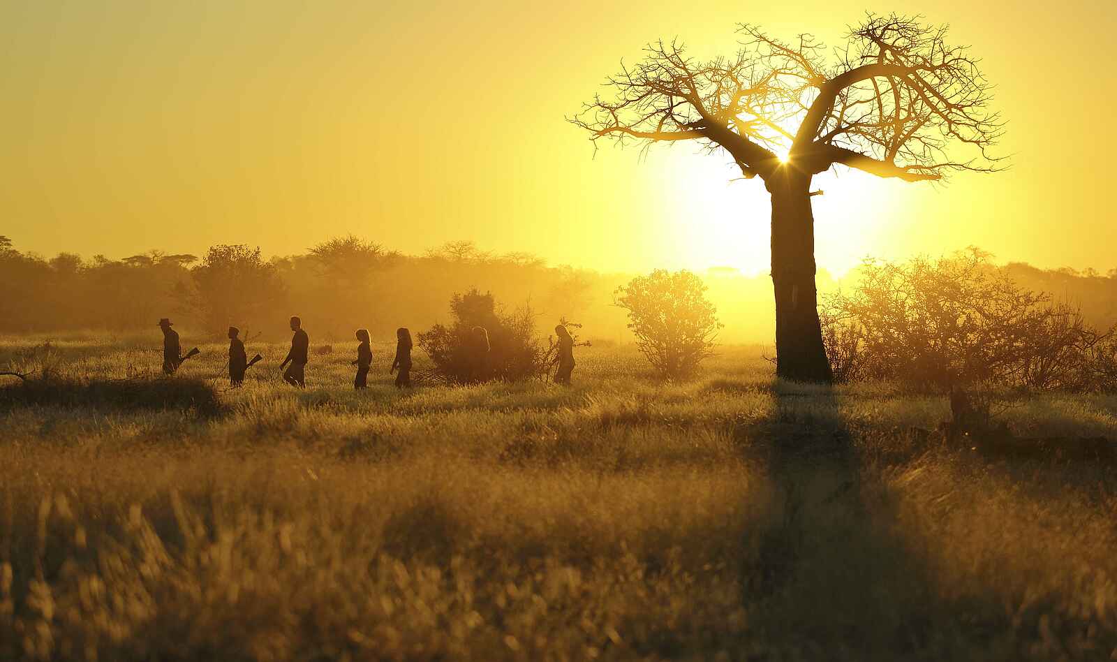 Kichaka Expeditions: Buschwanderung Kichaka Expeditions: Buschwanderung