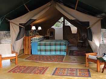 Kitich Camp: Gästezelt Kitich Camp: Gästezelt