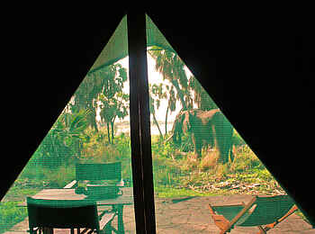 Lake Manze Camp: Netze gegen Mücken Lake Manze Camp: Netze gegen Mücken