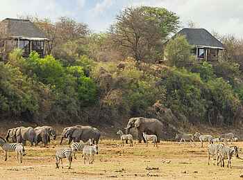 Leroo la Tau Lodge: Elefanten und Zebras